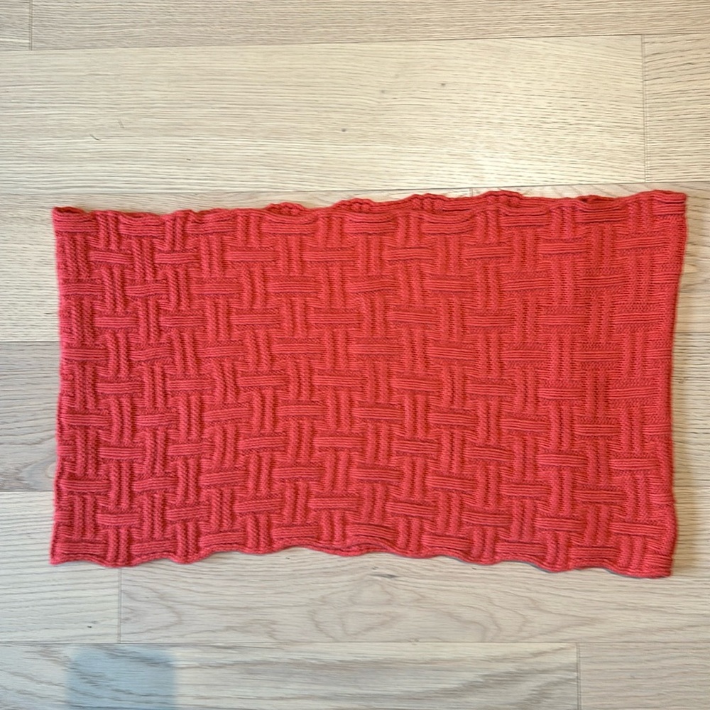 NWOT Infinity Scarf